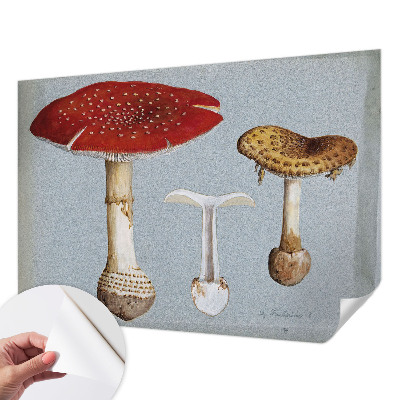 Peel and stick wall mural Mushroom engravings
