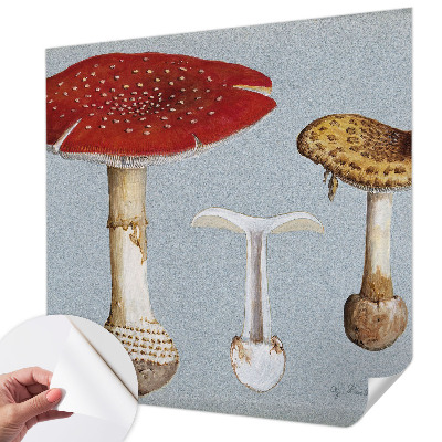 Peel and stick wall mural Mushroom engravings