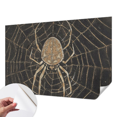 Children's wall mural Spider's web