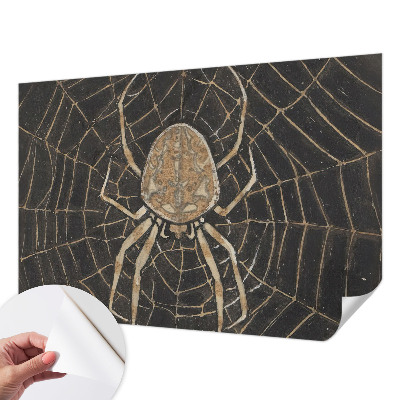 Children's wall mural with a spiderweb design