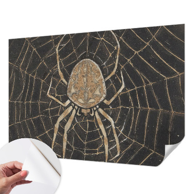 Children's wall mural Spider's web