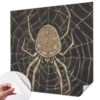 Children's wall mural Spider's web