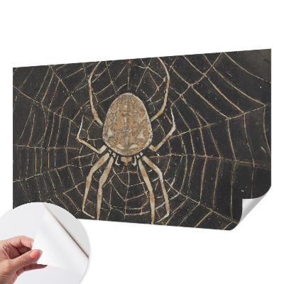 Children's wall mural Spider's web