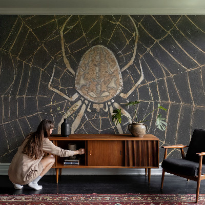 Children's wall mural Spider's web