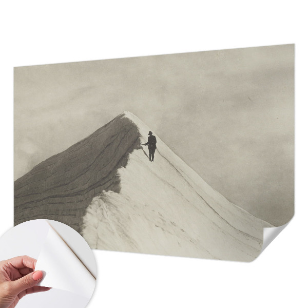 Baby room wall mural featuring a lone climber design