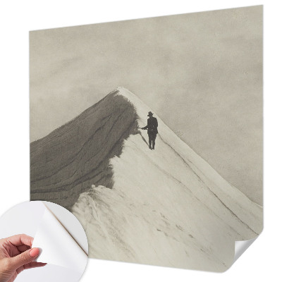 Baby room wall mural featuring a lone climber design