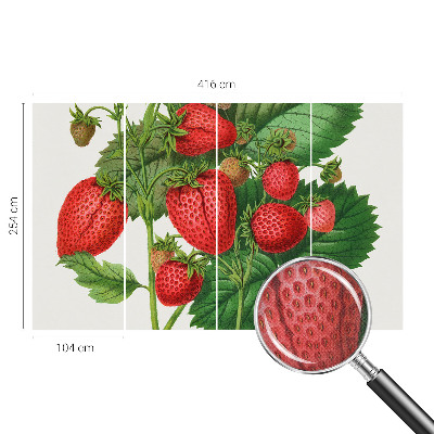 Peel and stick wallpaper mural with a summer fruits design