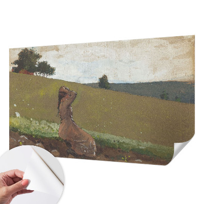 3D photo wallpaper mural with a quiet scene