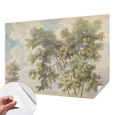 Removable wall mural Romantic nature