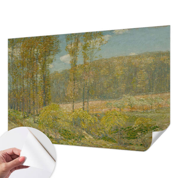 Baby room wall mural Forest landscape