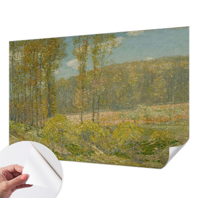 Baby room wall mural Forest landscape