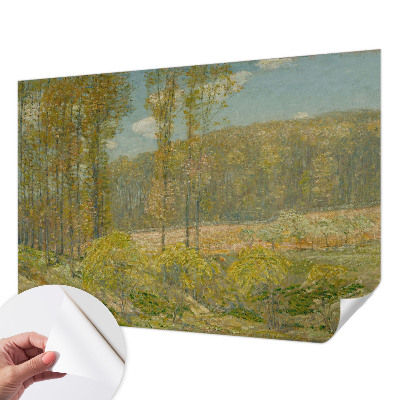 Baby room wall mural Forest landscape