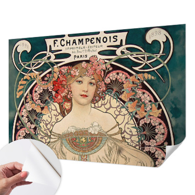 Peel and stick wallpaper mural Floral symmetry