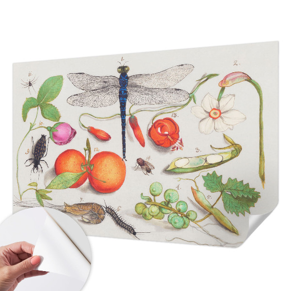 3D photo wallpaper mural with a nature illustration