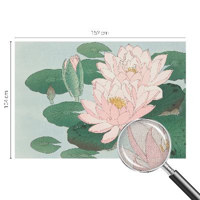 Peel and stick wallpaper mural Water lotus