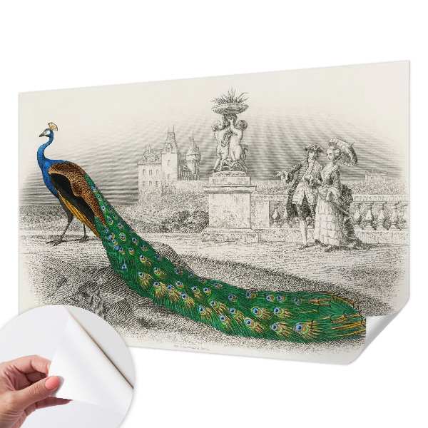 Self-adhesive photo wallpaper Colorful feathers