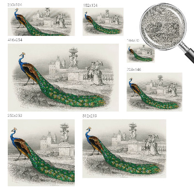 Self-adhesive photo wallpaper with a colorful feather pattern