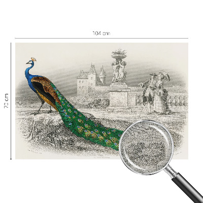 Self-adhesive photo wallpaper with a colorful feather pattern