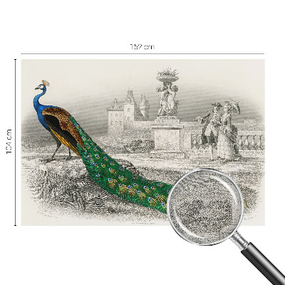 Self-adhesive photo wallpaper Colorful feathers