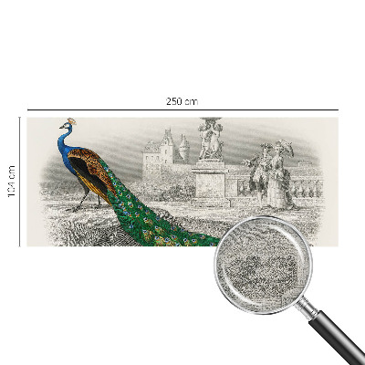 Self-adhesive photo wallpaper Colorful feathers
