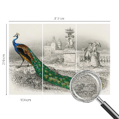 Self-adhesive photo wallpaper Colorful feathers