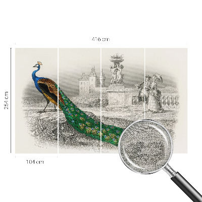 Self-adhesive photo wallpaper Colorful feathers