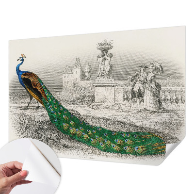 Self-adhesive photo wallpaper with a colorful feather pattern