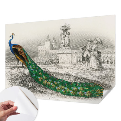 Self-adhesive photo wallpaper with a colorful feather pattern
