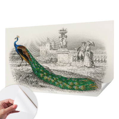 Self-adhesive photo wallpaper with a colorful feather pattern