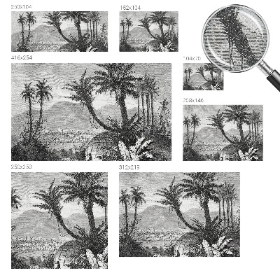 Removable wall mural wallpaper with a tropical oasis design