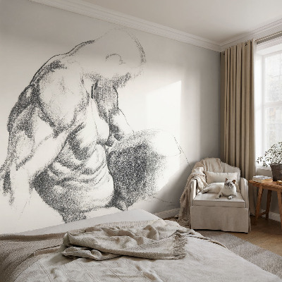 Self-adhesive photo wallpaper with a sketch of a man