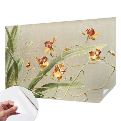 Peel and stick wall mural with a classic orchids design suitable for bedrooms