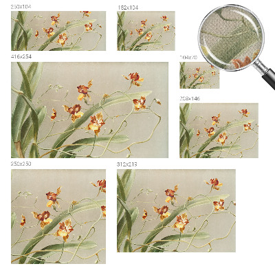 Peel and stick wall mural for bedroom Classic orchids