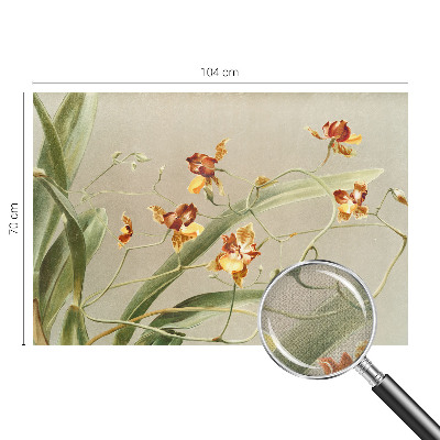 Peel and stick wall mural for bedroom Classic orchids