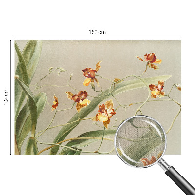 Peel and stick wall mural for bedroom Classic orchids