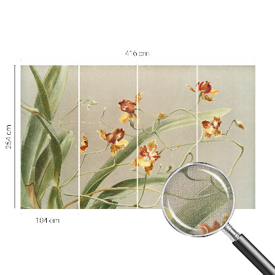 Peel and stick wall mural with a classic orchids design suitable for bedrooms