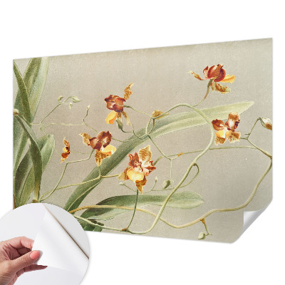 Peel and stick wall mural with a classic orchids design suitable for bedrooms