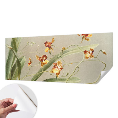 Peel and stick wall mural with a classic orchids design suitable for bedrooms