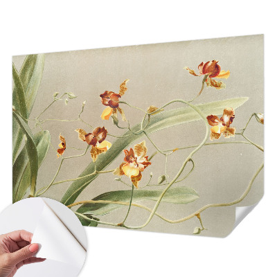 Peel and stick wall mural with a classic orchids design suitable for bedrooms