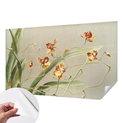 Peel and stick wall mural with a classic orchids design suitable for bedrooms