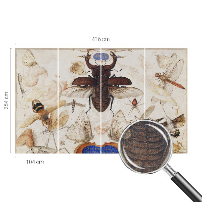 Peel and stick wall mural Natural harmony