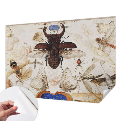 Peel and stick wall mural Natural harmony