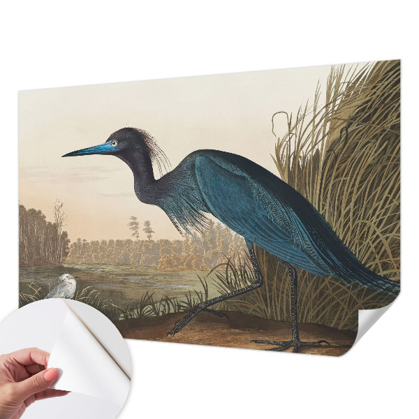 Stick-on wall mural featuring water birds