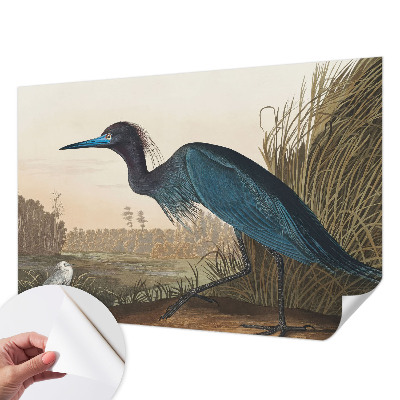 Stick-on wall mural featuring water birds