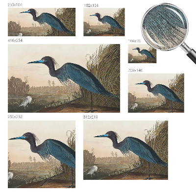 Stick-on wall mural featuring water birds