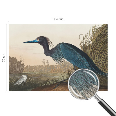 Stick-on wall mural featuring water birds