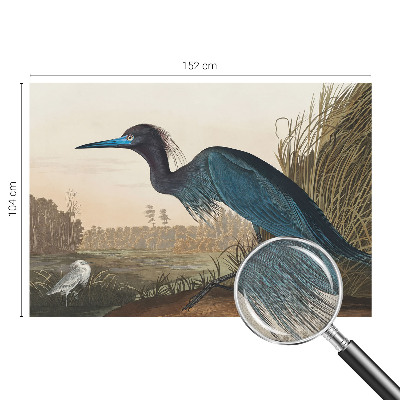 Stick-on wall mural featuring water birds