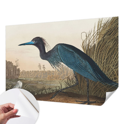 Stick-on wall mural featuring water birds