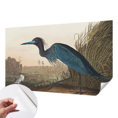 Stick-on wall mural featuring water birds