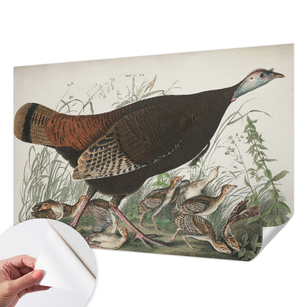Removable wall mural wallpaper with a natural harmony design